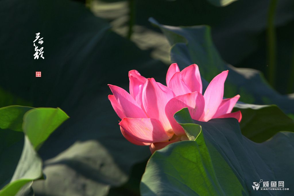 2Y5A6530_副本.jpg