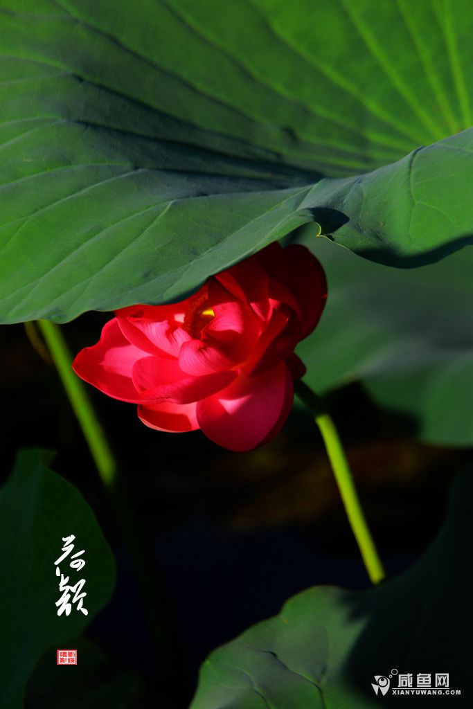 2Y5A6738_副本.jpg