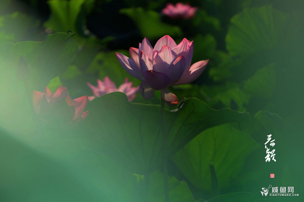 2Y5A6621_副本.jpg