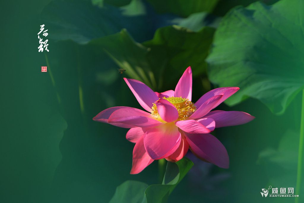 2Y5A6644_副本.jpg
