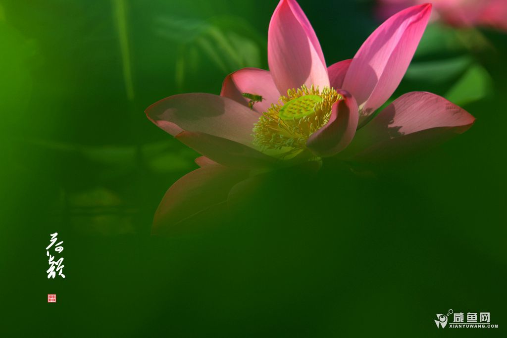 2Y5A6731_副本.jpg