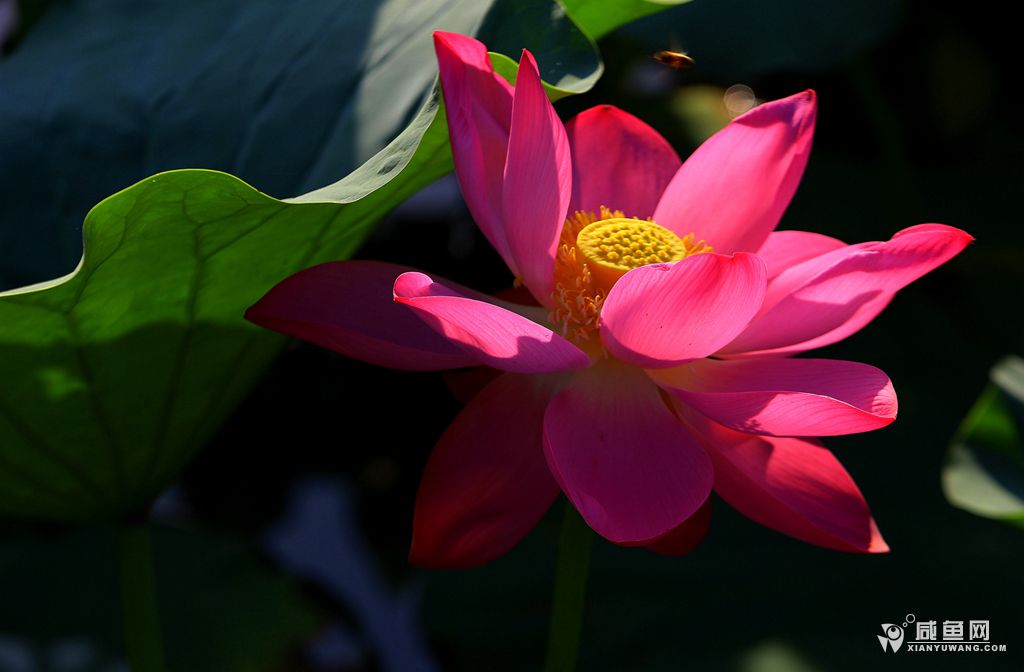 2Y5A6603_副本.jpg