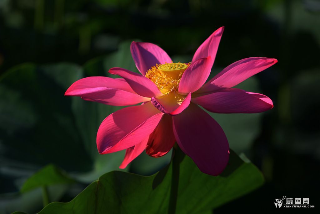 2Y5A6724_副本.jpg