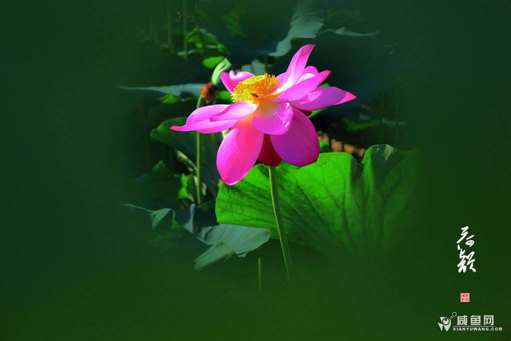 IMG_7234_副本.jpg