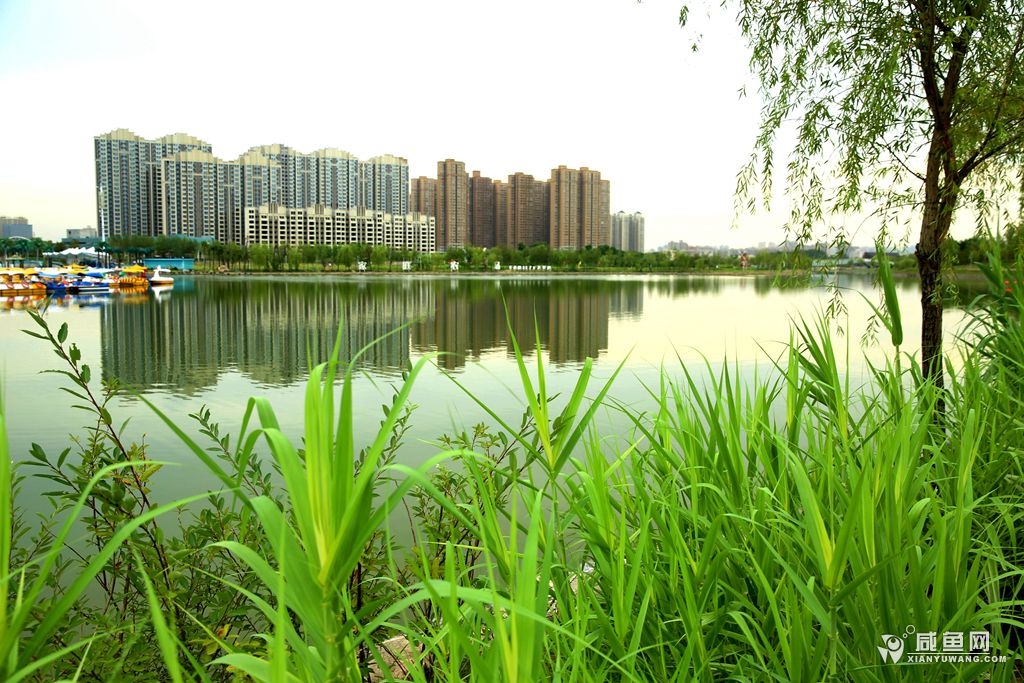 2Y5A6979_副本.jpg