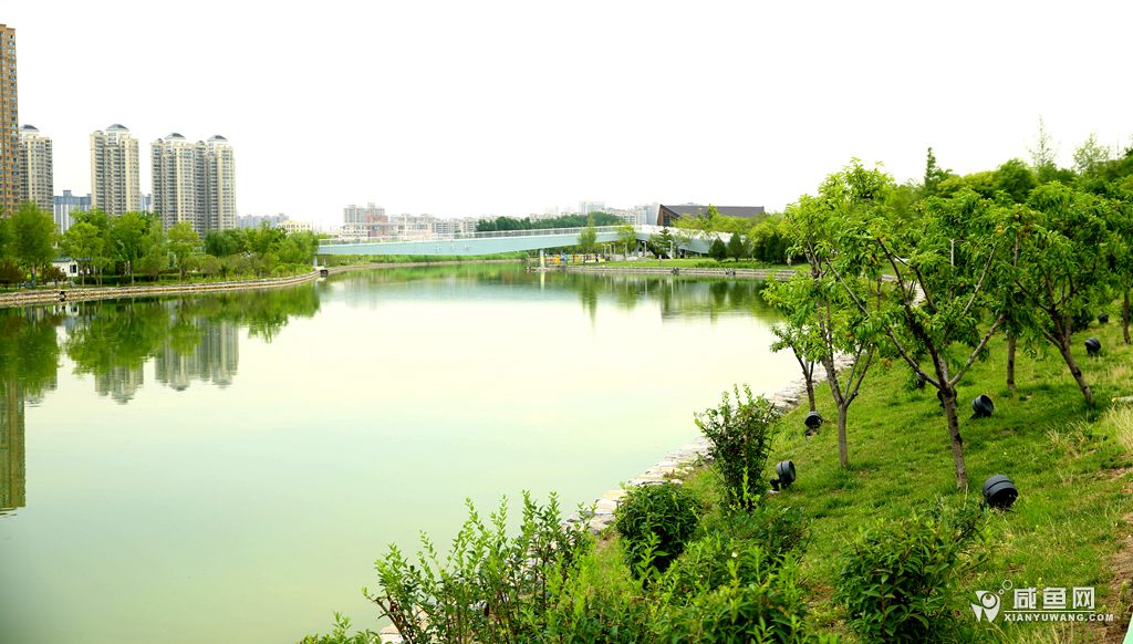 2Y5A6990_副本.jpg