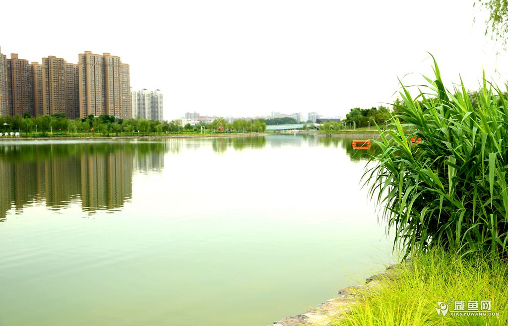2Y5A6981_副本.jpg