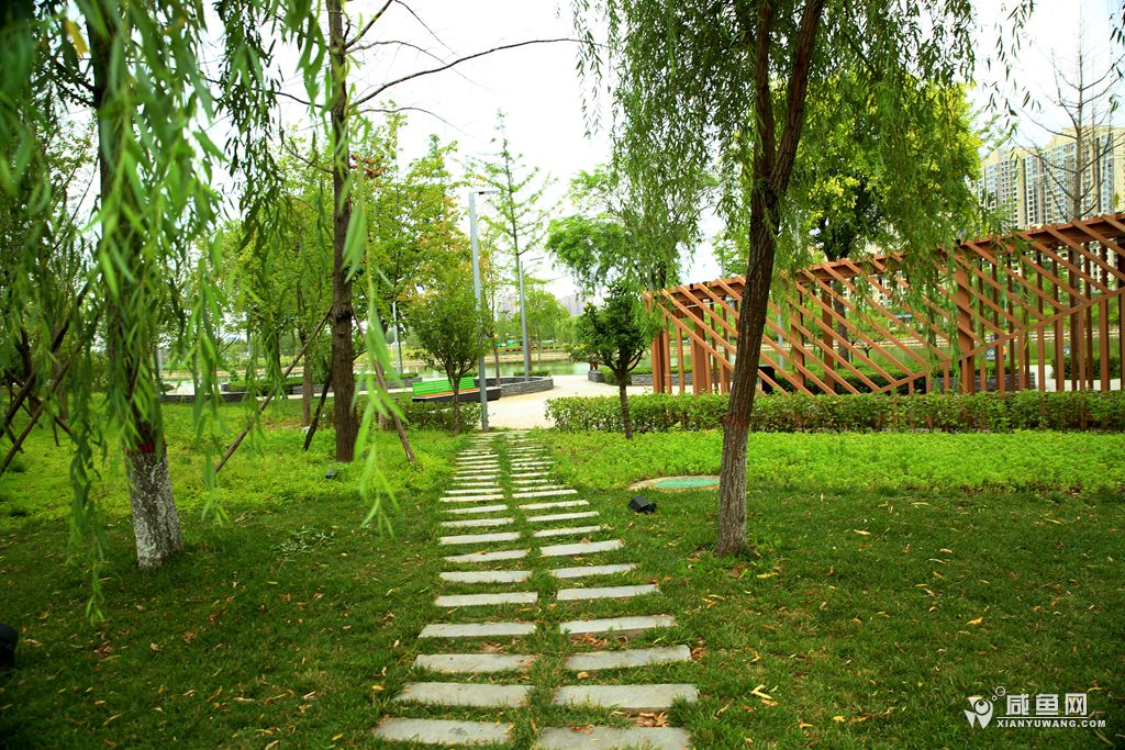 2Y5A7008_副本.jpg