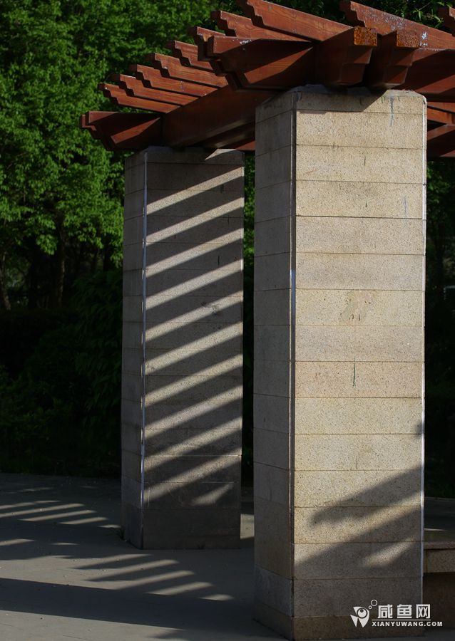 2Y5A0683.JPG