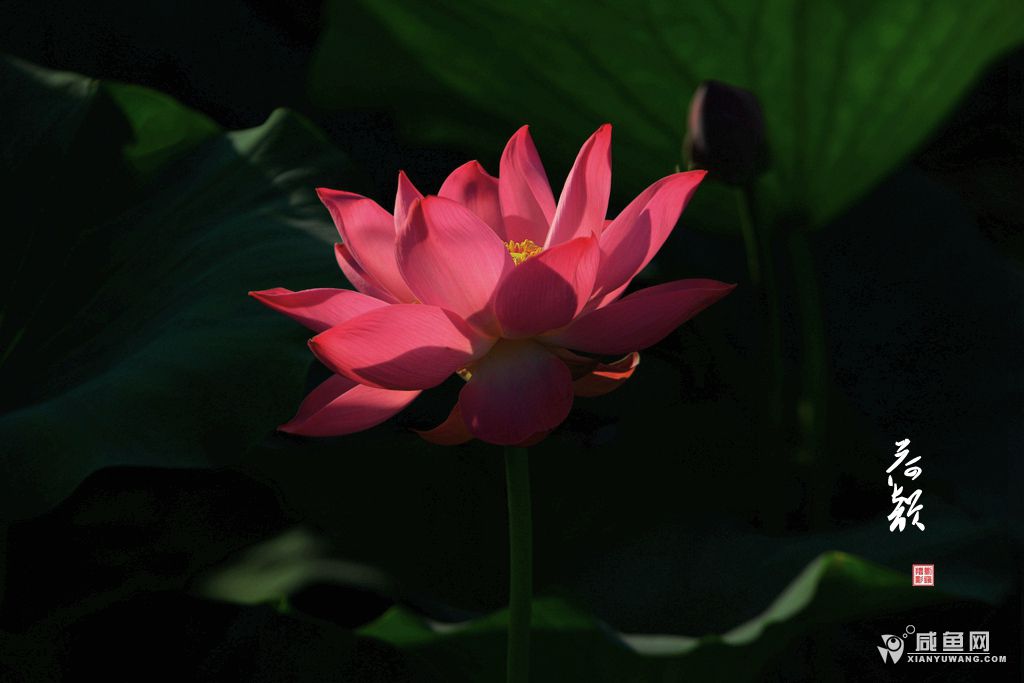 2Y5A6535_副本.jpg