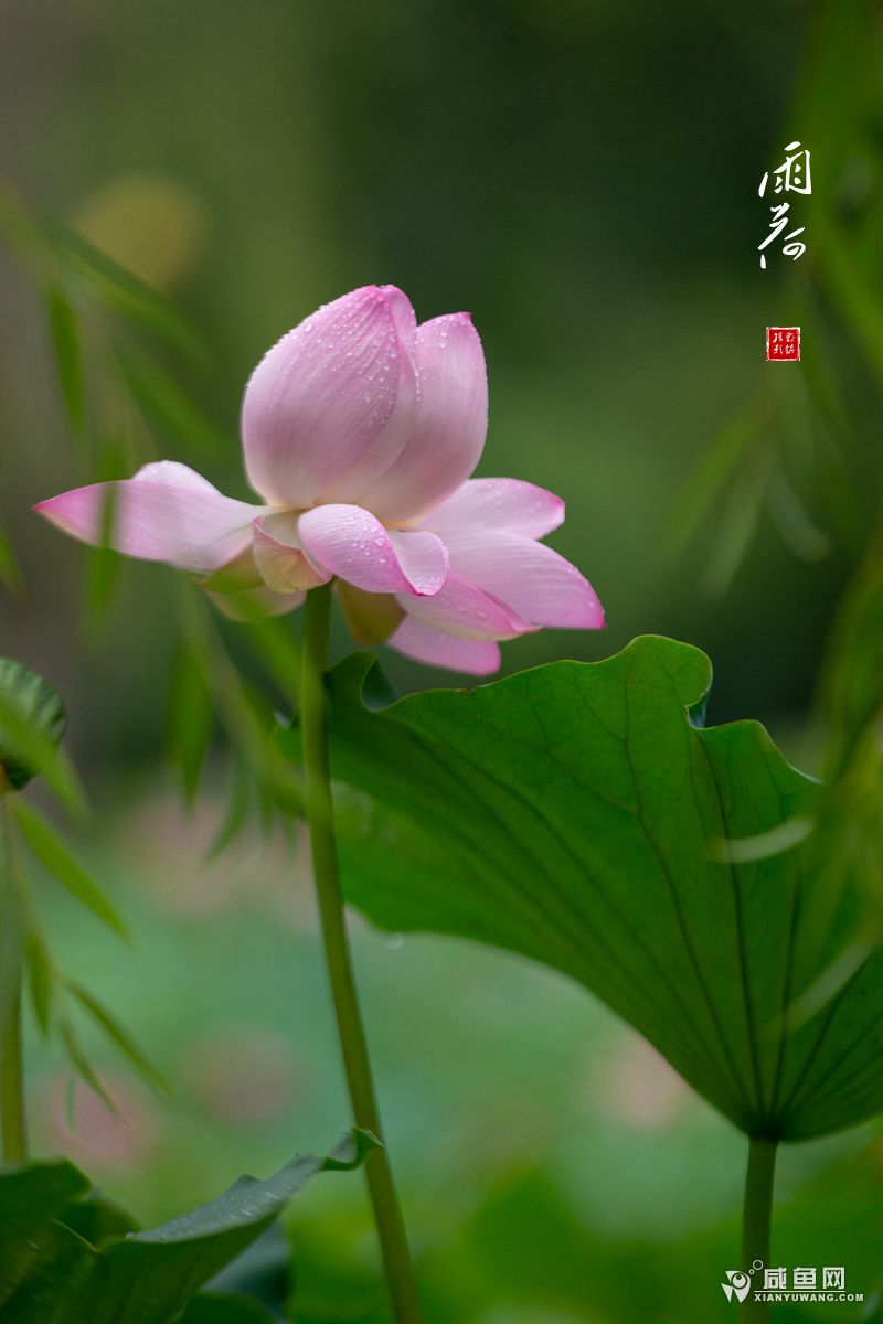 2Y5A7566.jpg