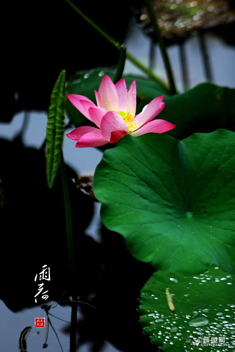 2Y5A7636_副本.jpg