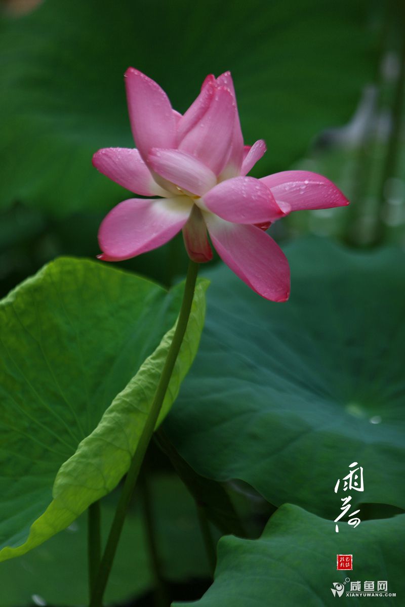 2Y5A7625.jpg