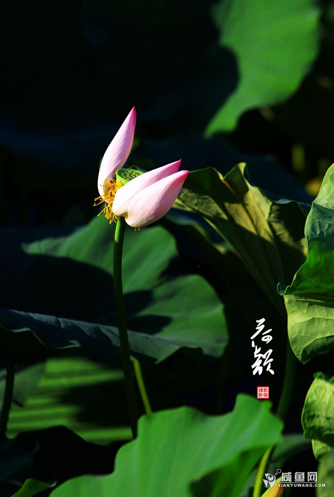 2Y5A6748_副本.jpg