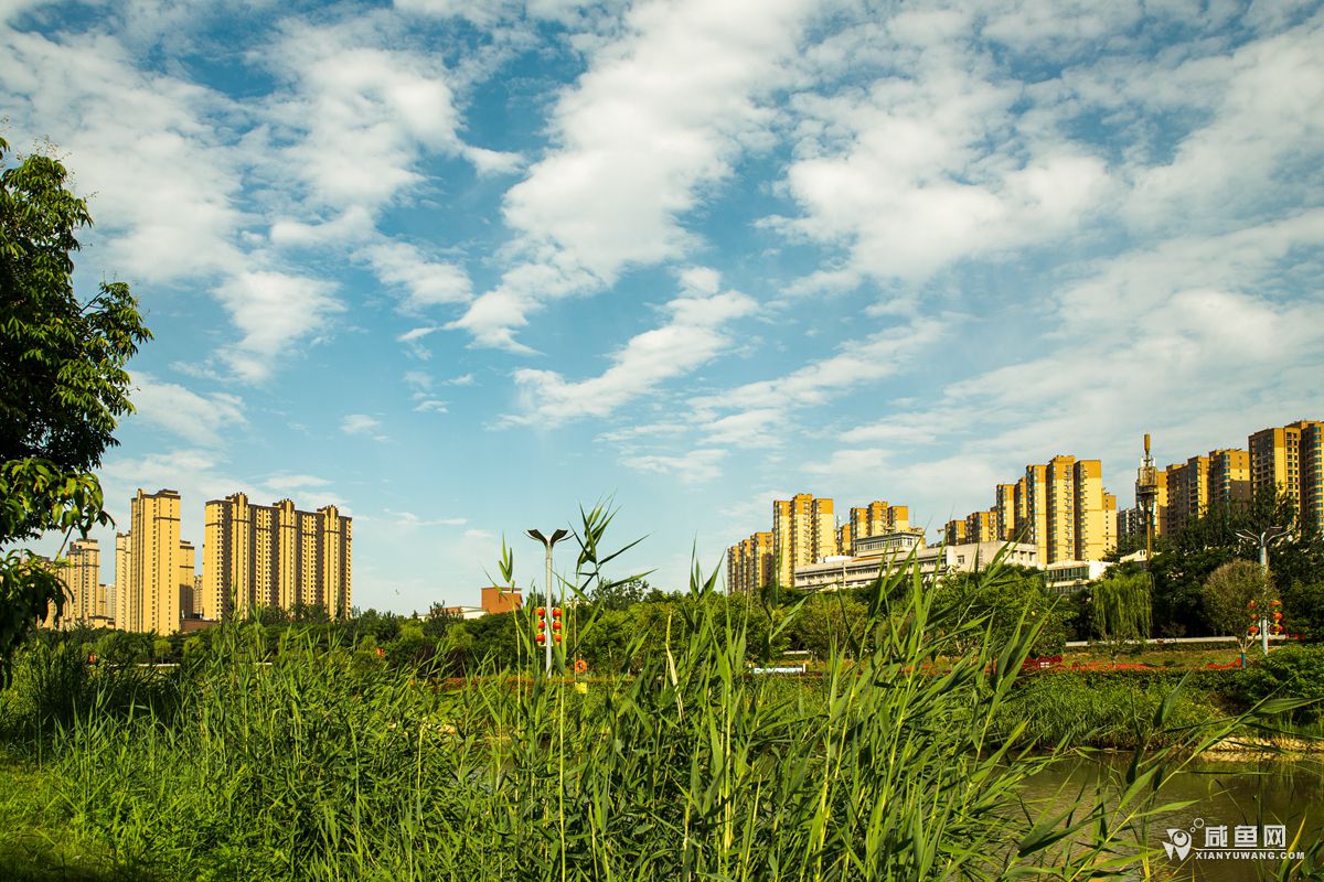 2Y5A5789.jpg