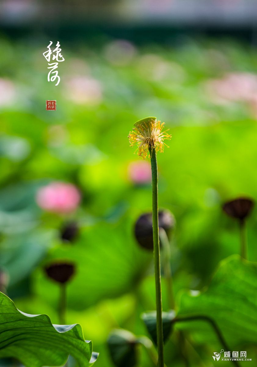 2Y5A8845.jpg