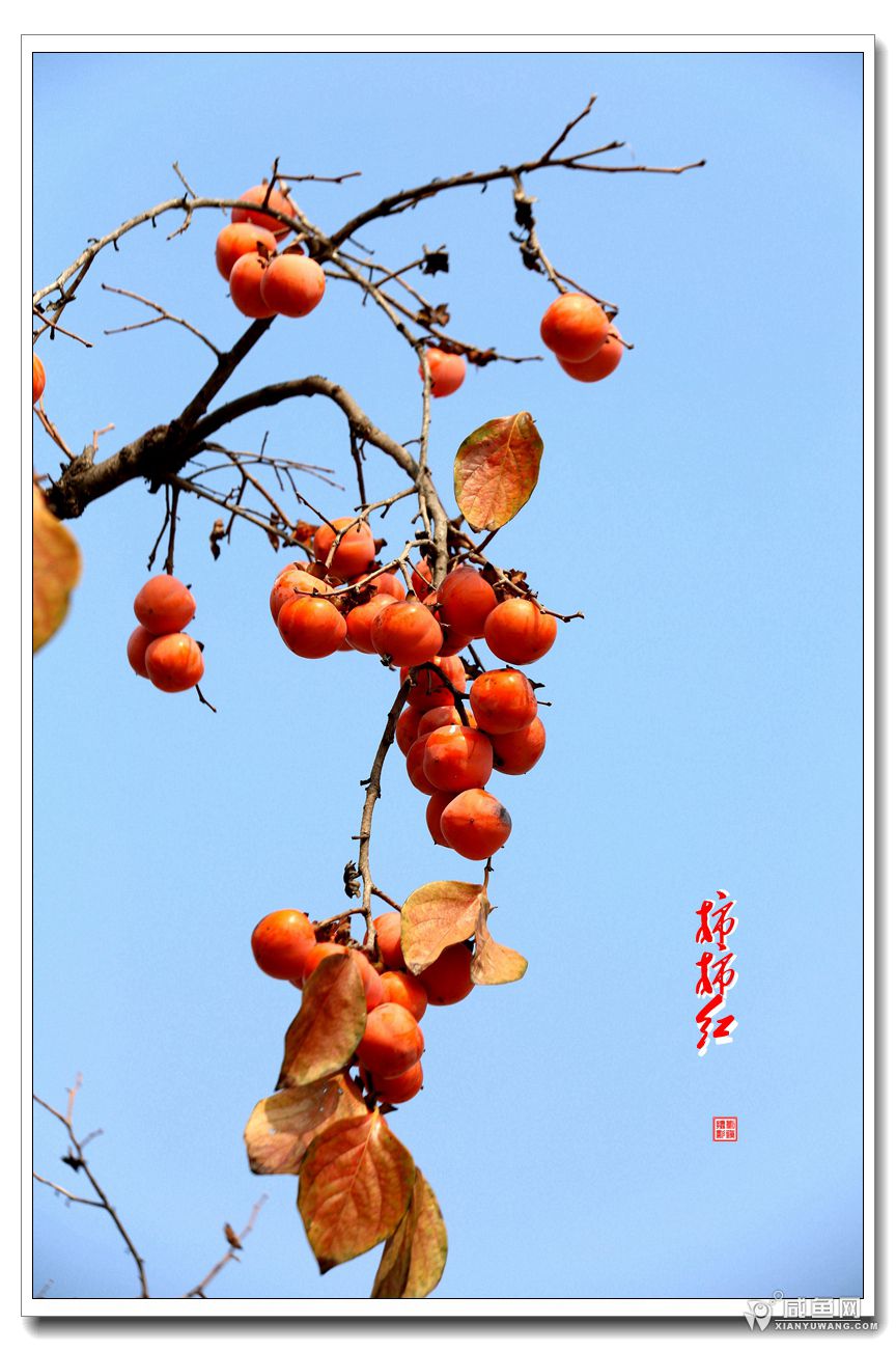 2Y5A2927_副本.jpg
