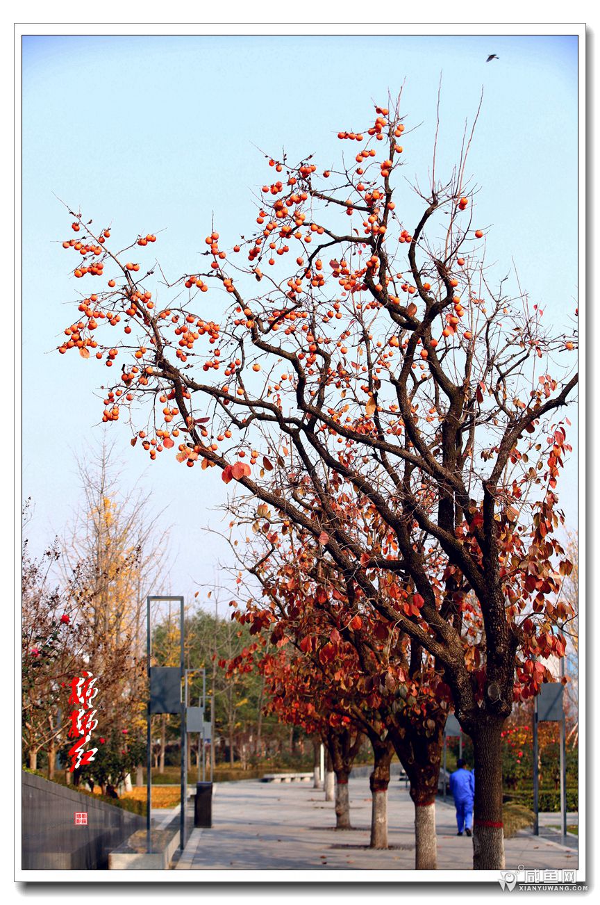 2Y5A3021_副本.jpg