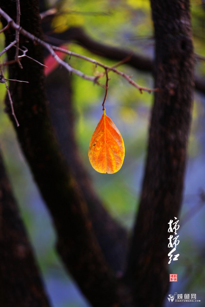 2Y5A3030_副本.jpg