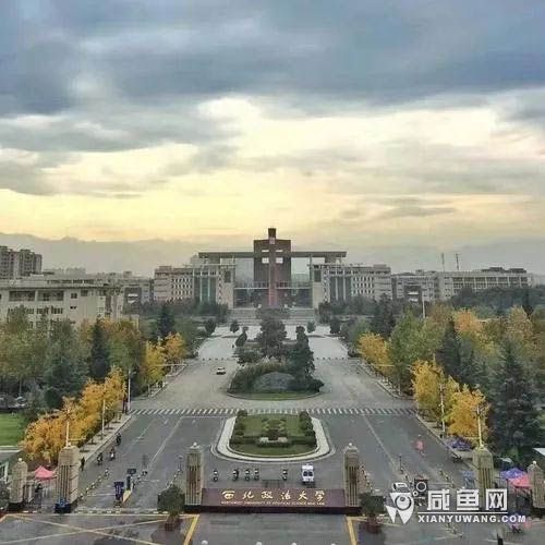 音乐11 (2).jpg