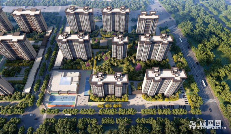 沣东6.png