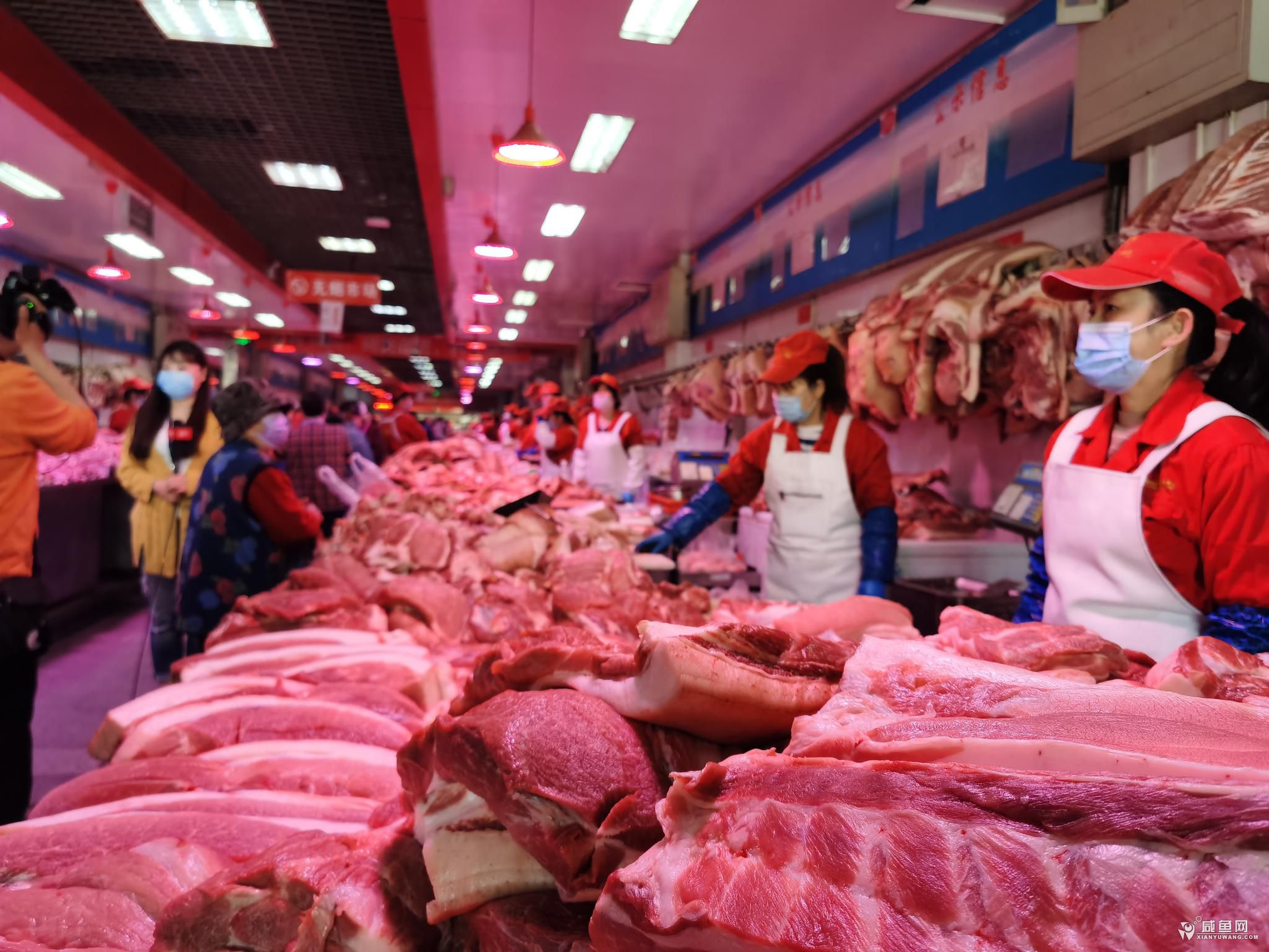 猪肉.jpg